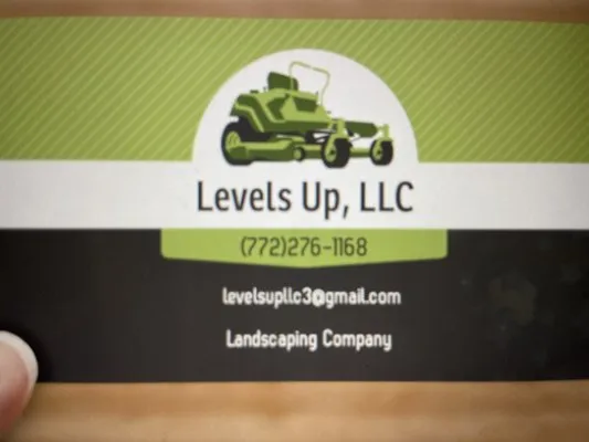 Levels Up Logo