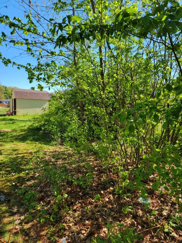 Reliable lawn mowing service in Fonda, NY - Levesque Lawn Care
