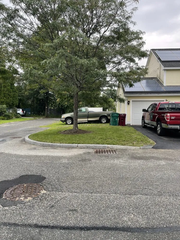 Trusted yard cleanup service near you in Chelmsford, MA by Levesque Property Management