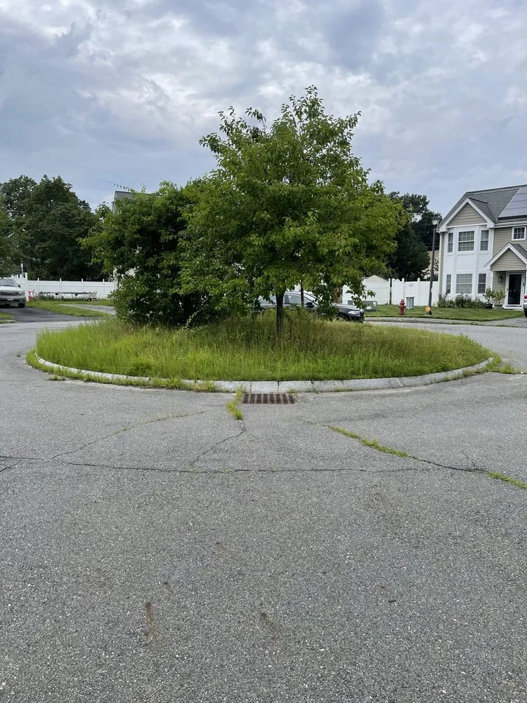 Affordable residential landscaping for year-round maintenance across Chelmsford, MA - Levesque Property Management