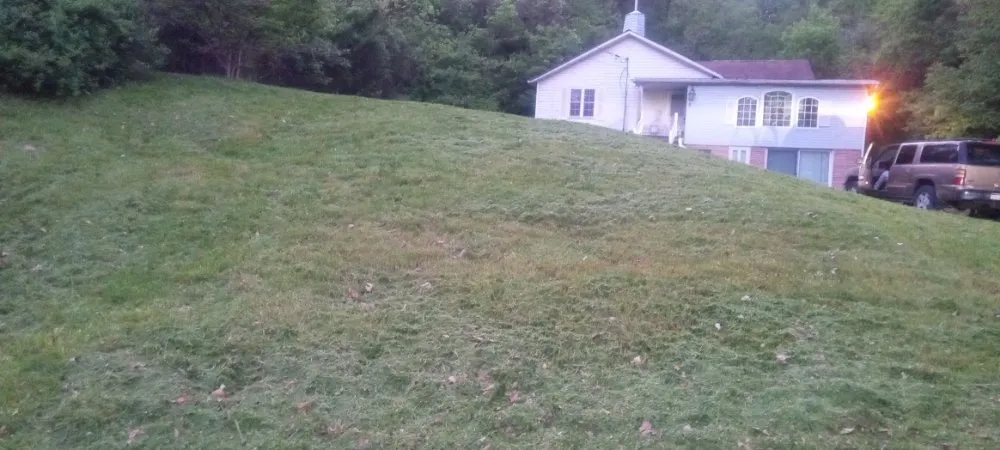 Custom yard cleanup service near you in Grafton, WV by Levi Lawn care