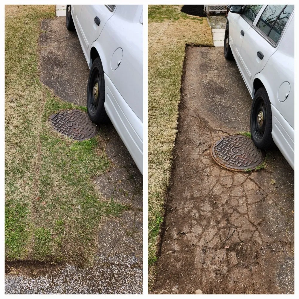 Affordable lawn care service in Jessup, MD - Levine Landscaping