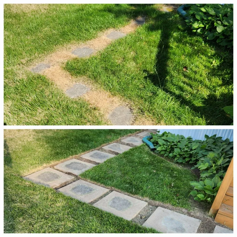 Affordable landscape design in Jessup, MD by Levine Landscaping