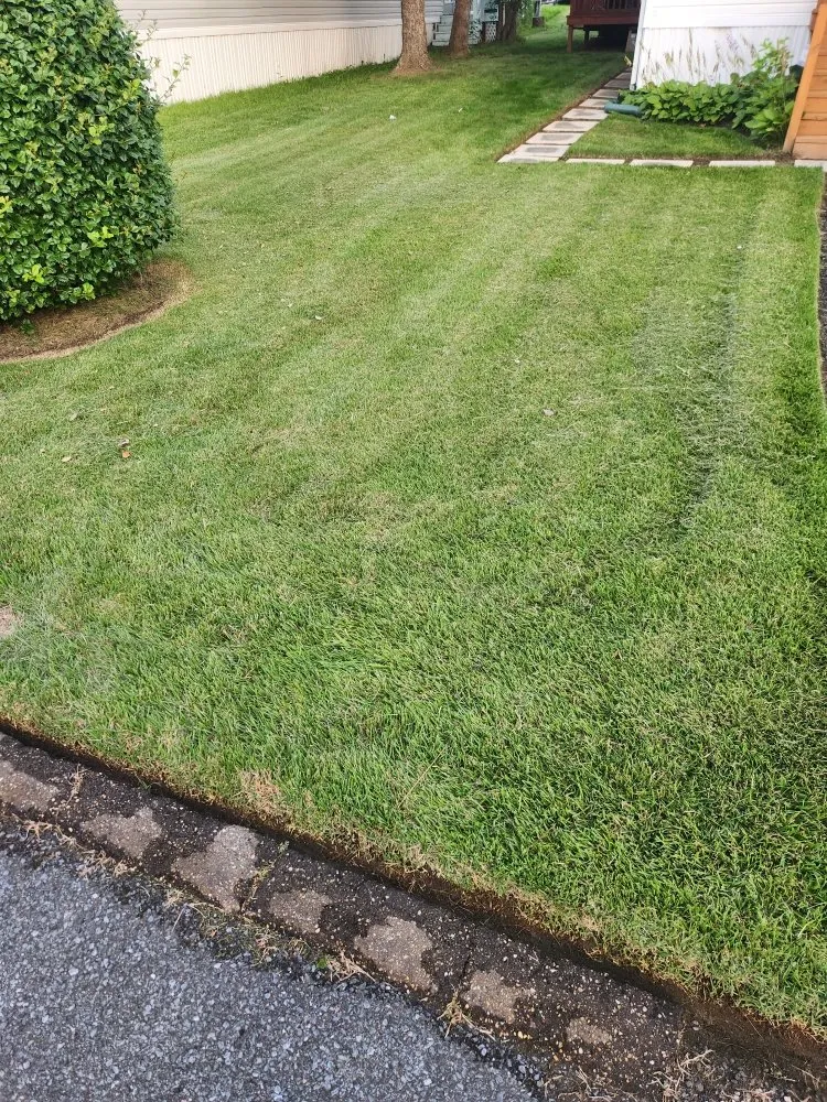Reliable landscaping services for homes in Jessup, MD by Levine Landscaping