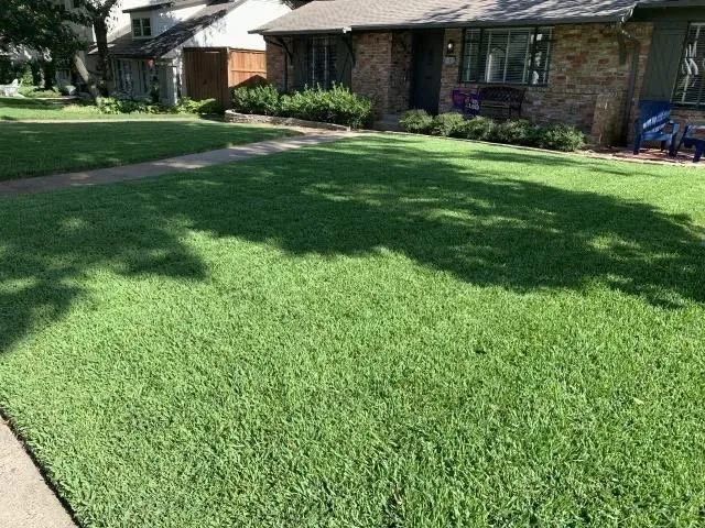 Professional landscape design experts serving Aubrey, TX - Levingston Landscaping