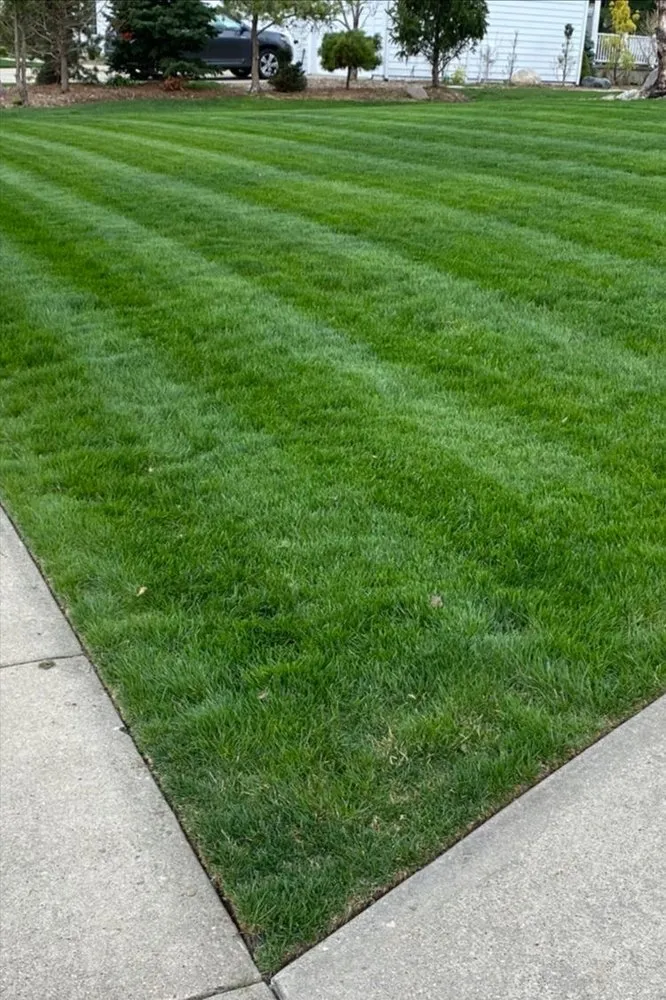 Reliable lawn care service in Aubrey, TX - Levingston Landscaping