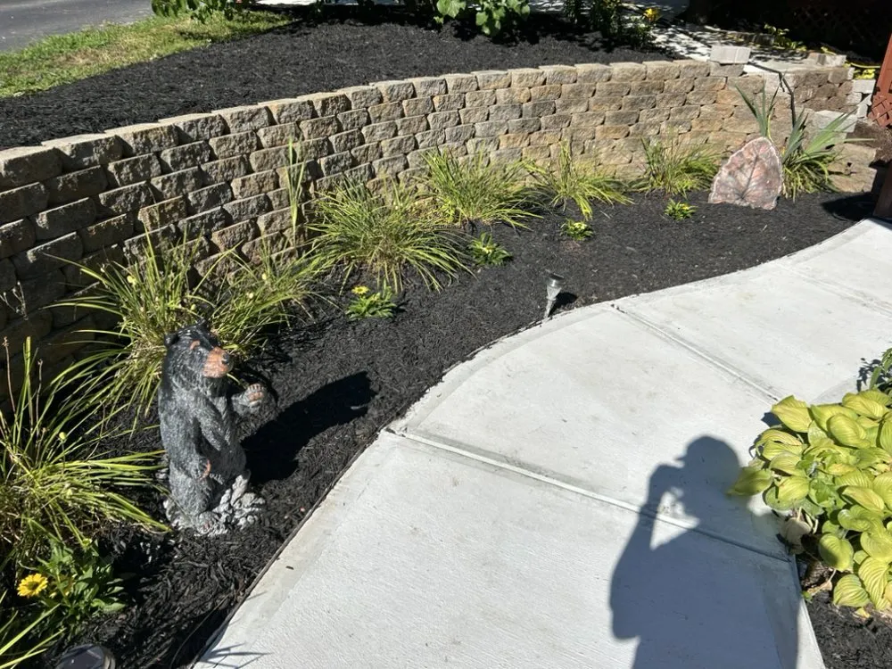 Trusted yard cleanup service in Cleveland, GA by Levi’s Landscaping