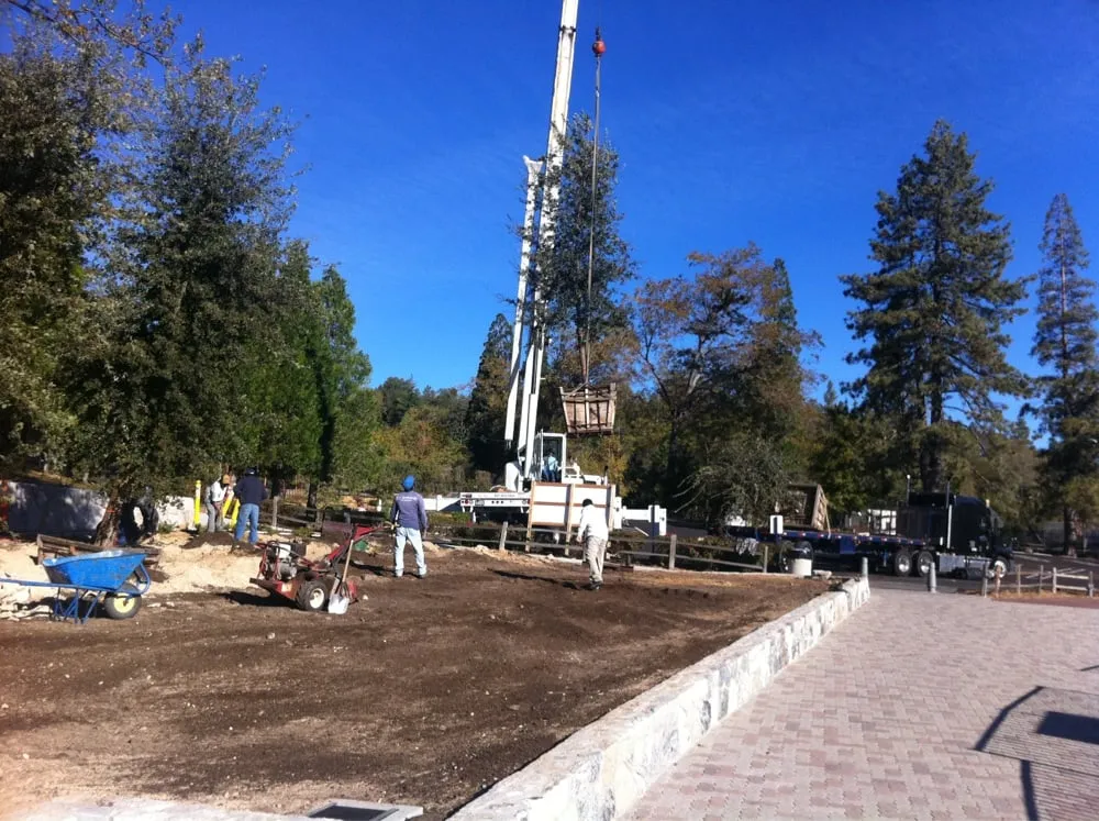 Reliable landscaping services experts serving Riverside, CA - Levi's Landscaping