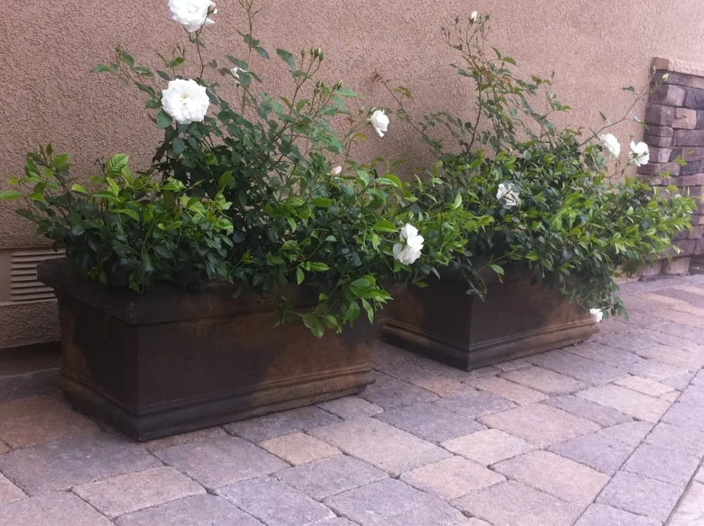 Local garden landscaping experts serving Riverside, CA - Levi's Landscaping