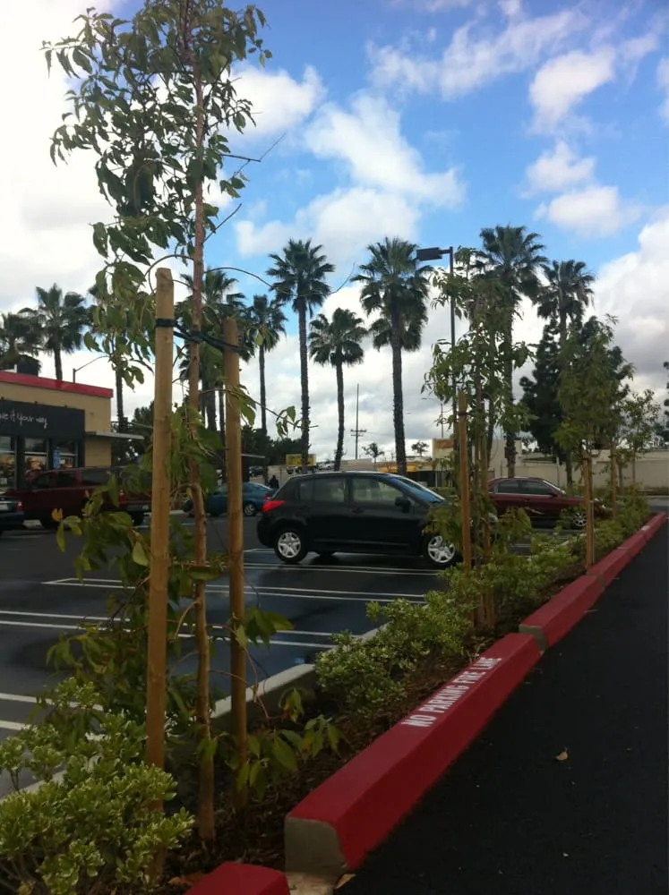 Expert yard maintenance in Riverside, CA - Levi's Landscaping