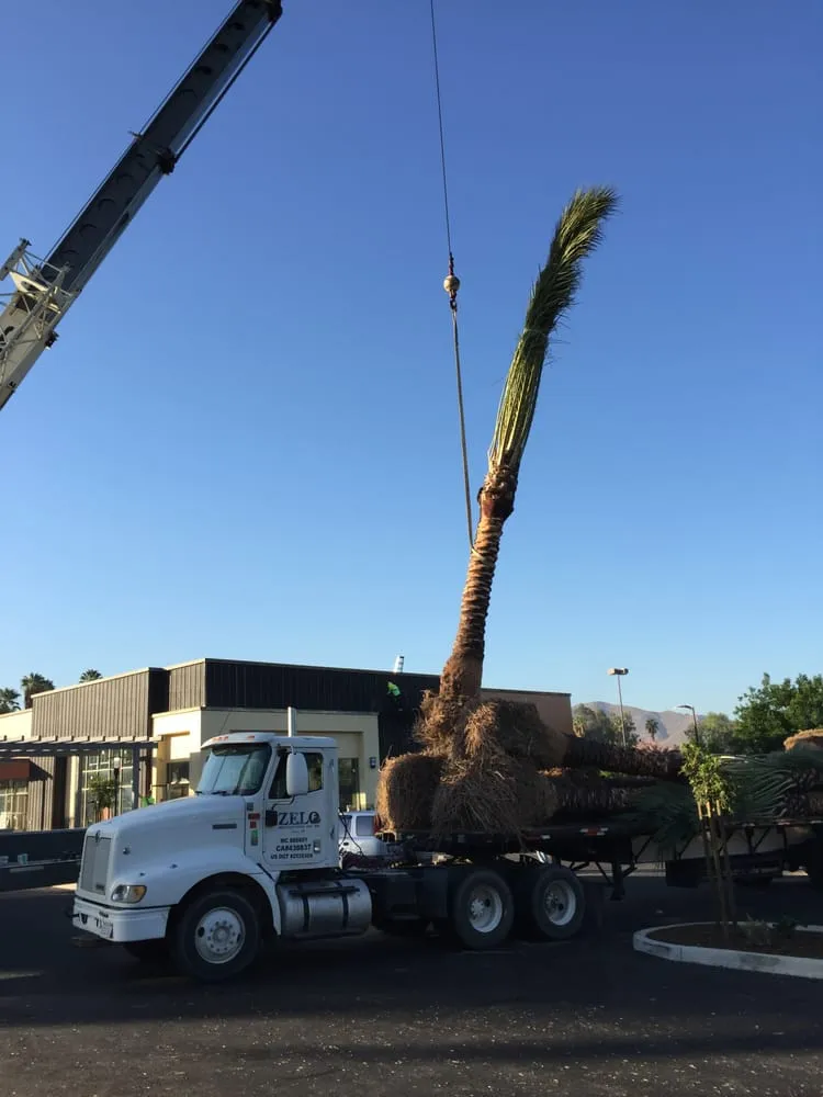Local landscape design experts serving Riverside, CA - Levi's Landscaping