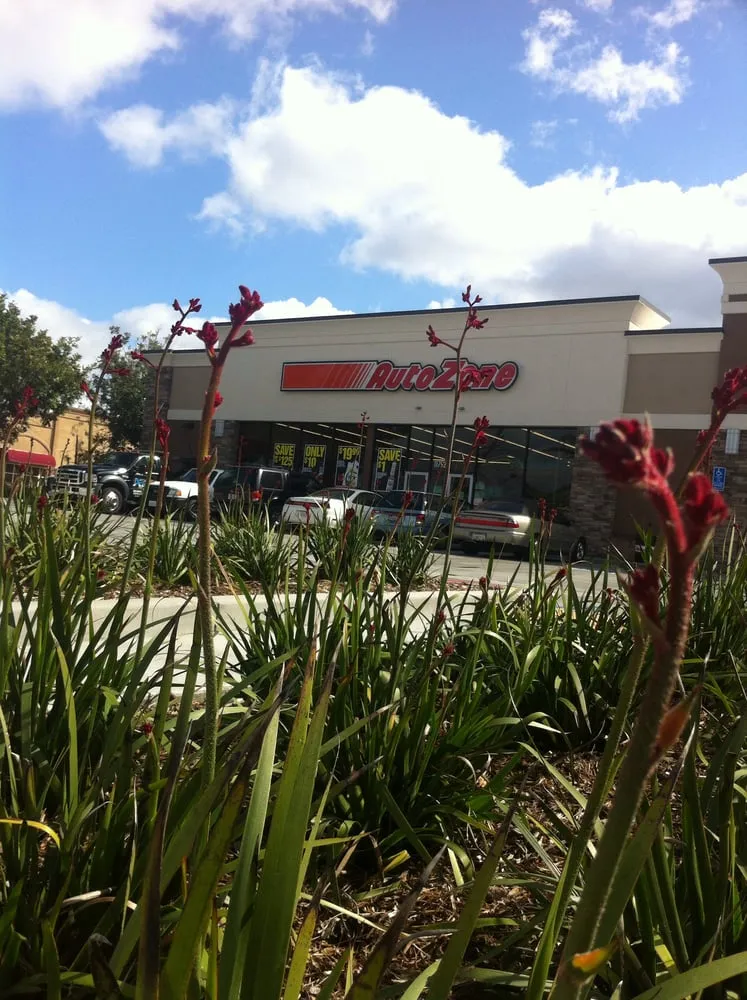 Trusted landscaping services in Riverside, CA - Levi's Landscaping