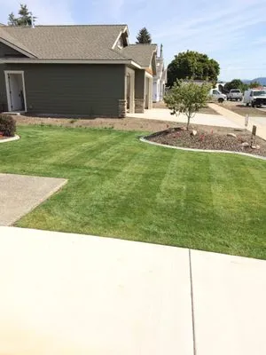 Levi’s Lawn Care