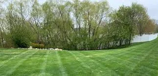 Custom lawn care service in Osseo, MN by Levi’s Lawncare and Landscaping
