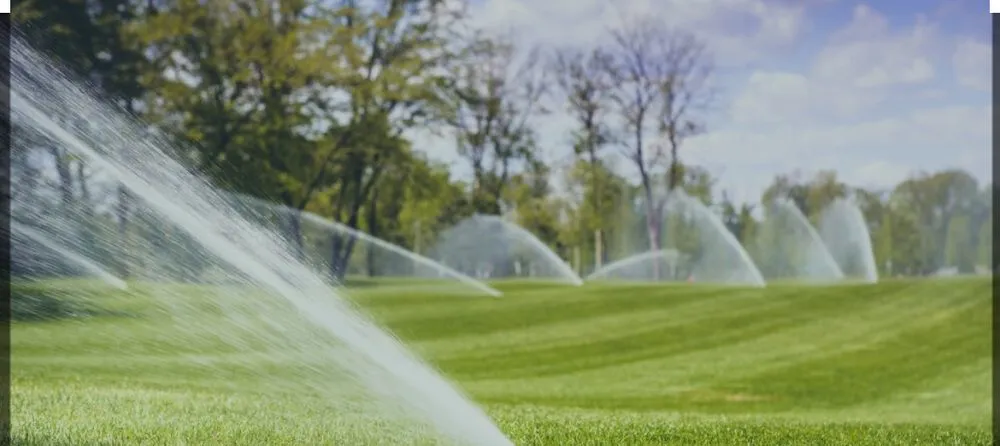 Affordable landscape design in Little Rock, AR by Levi’s Sprinkler Repair