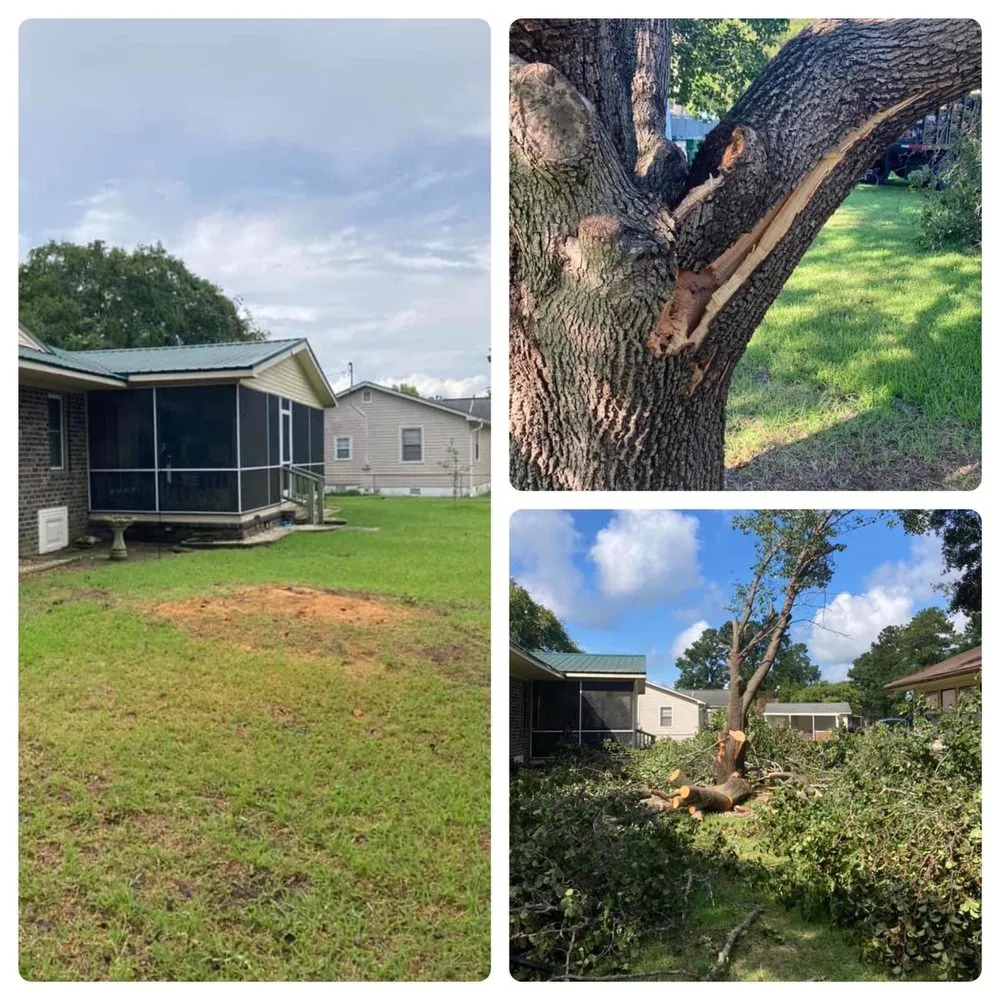 Local landscape design for homes in Moncks Corner, SC by Levi’s Timber to Remember