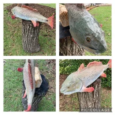 Levi’s Timber to Remember Logo