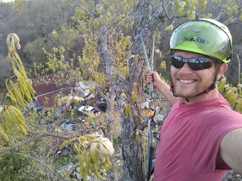 Top-rated landscape design for residential properties across Anderson, MO - Levi's Tree and Lawn Service