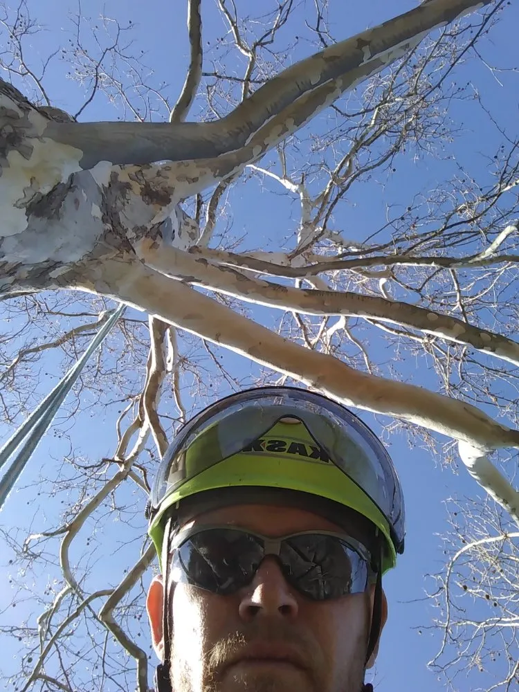 Affordable yard maintenance with custom design across Anderson, MO - Levi's Tree and Lawn Service