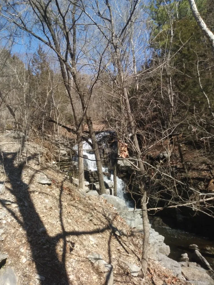 Professional landscape installation in Anderson, MO by Levi's Tree and Lawn Service