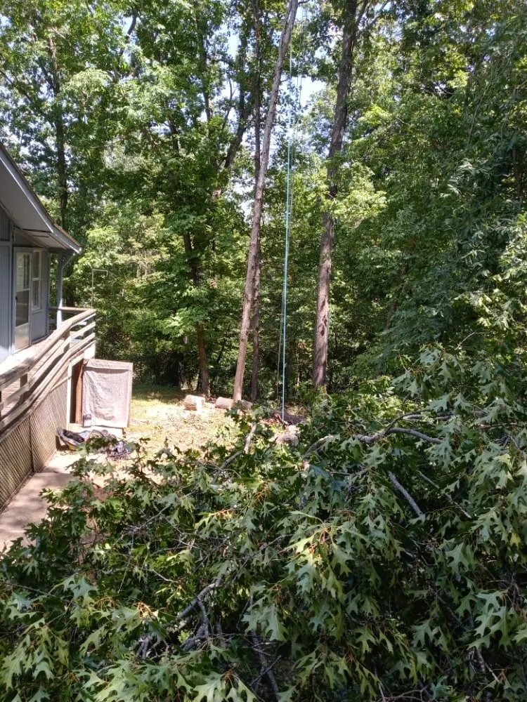 Expert yard cleanup service in Anderson, MO - Levi's Tree and Lawn Service