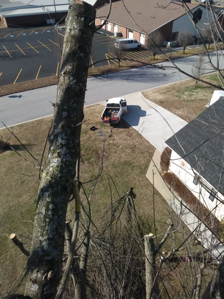 Custom residential landscaping near you in Anderson, MO by Levi's Tree and Lawn Service