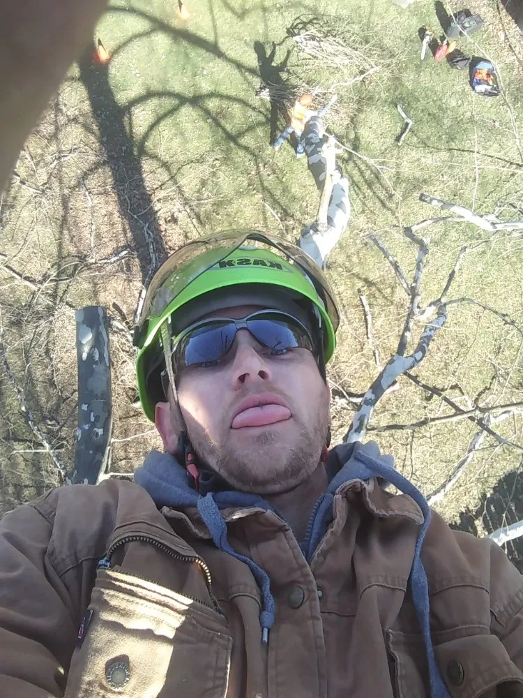 Custom landscaping services in Anderson, MO - Levi's Tree and Lawn Service