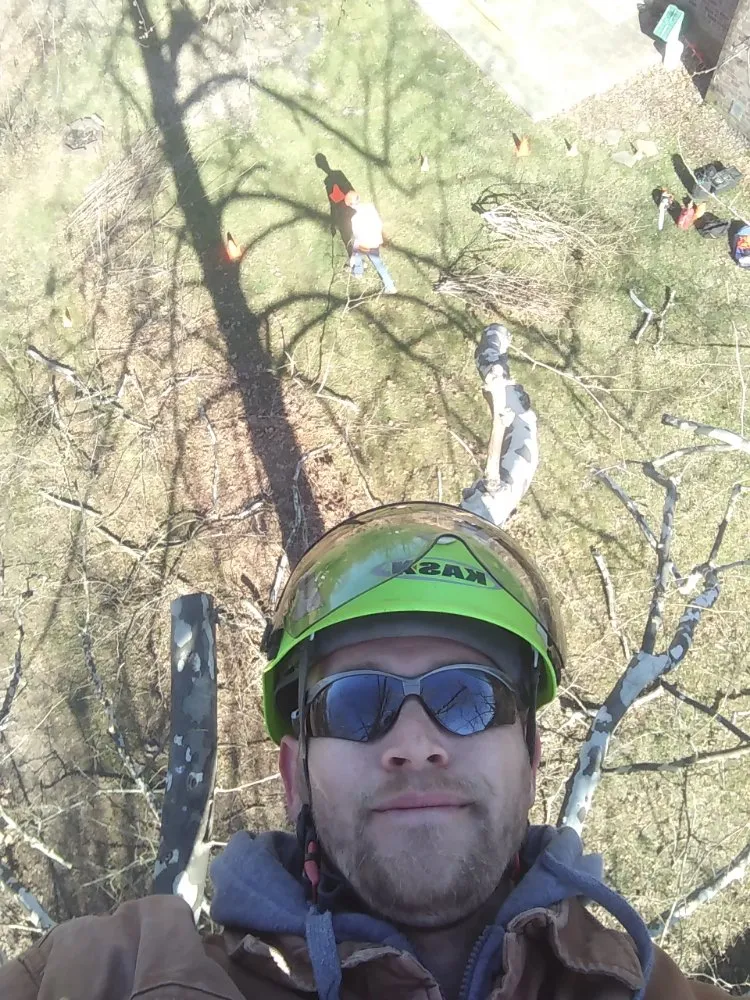 Top-rated landscape installation in Anderson, MO by Levi's Tree and Lawn Service