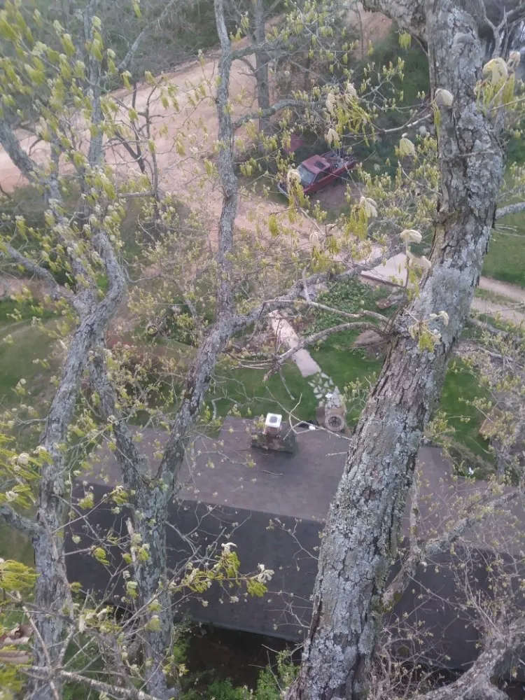 Affordable outdoor landscaping in Anderson, MO - Levi's Tree and Lawn Service