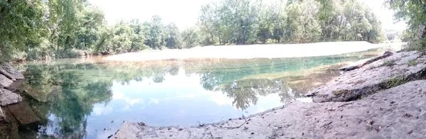 Levi's Tree and Lawn Service