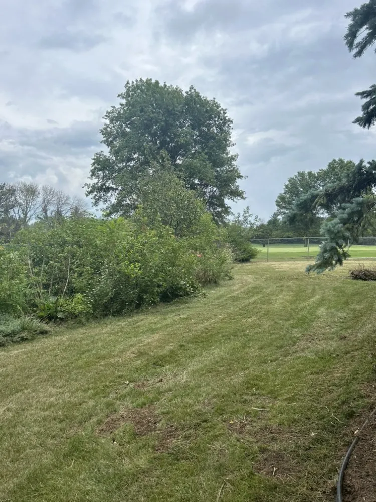 Professional outdoor landscaping in North Liberty, IA - Levitate Landscaping & Construction