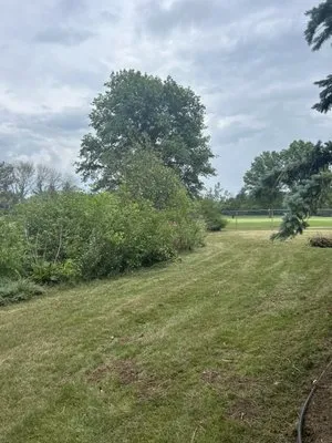 Levitate Landscaping & Construction Logo