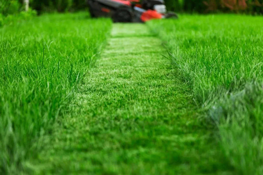 Reliable garden landscaping experts serving Fort Collins, CO - Levo Lawn Care