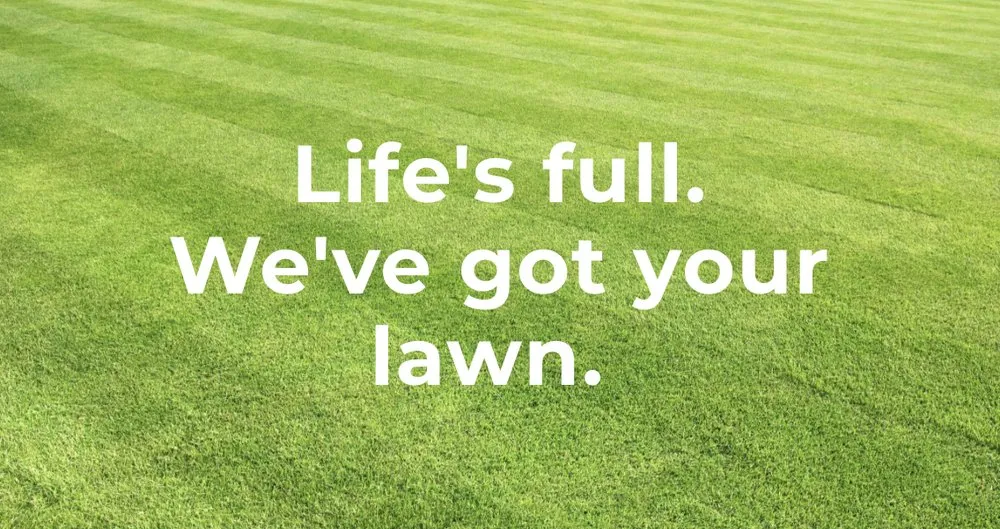 Local landscape installation experts serving Fort Collins, CO - Levo Lawn Care