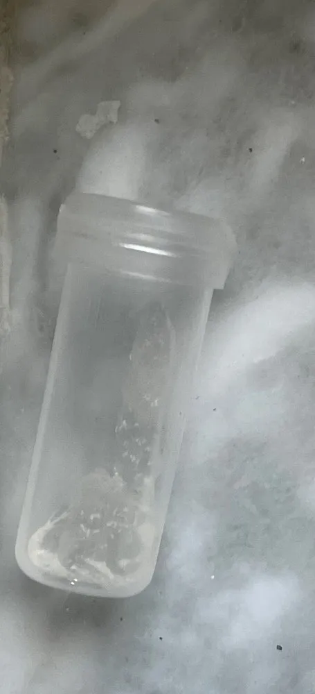 Professional landscape design in Boca Raton, FL - Levy Environmental