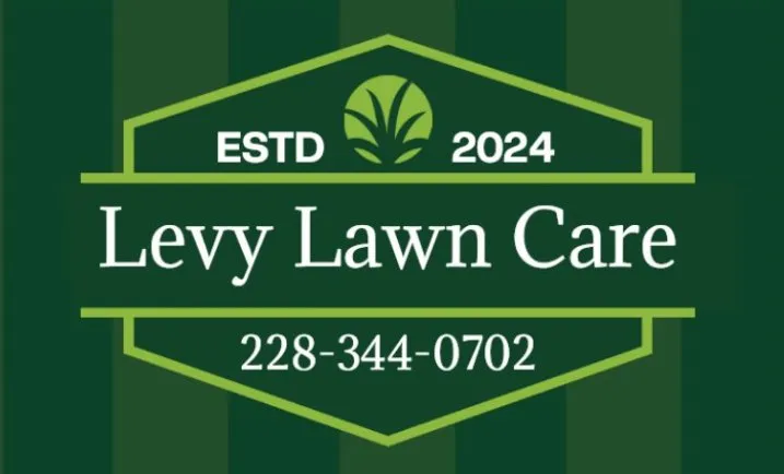 Expert yard cleanup service in Bay St. Louis, MS - Levy Lawn Care