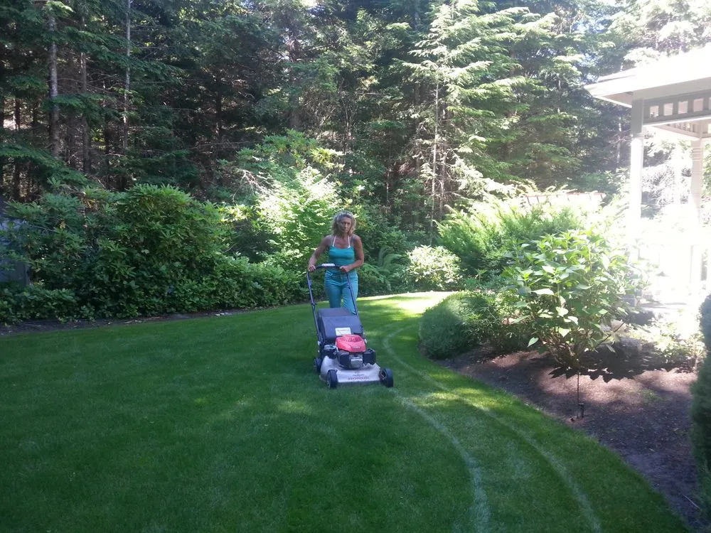 Trusted yard maintenance in Port Orchard, WA - Levy's Lawn & Landscaping