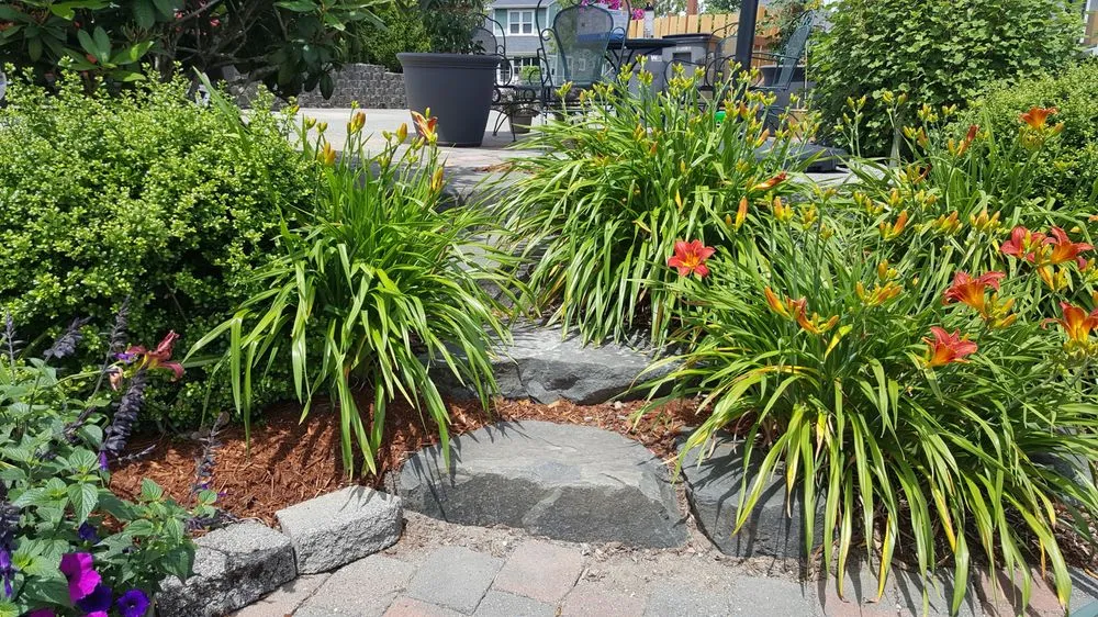 Trusted residential landscaping for year-round maintenance in Port Orchard, WA by Levy's Lawn & Landscaping