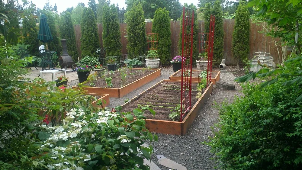 Professional lawn care service experts serving Port Orchard, WA - Levy's Lawn & Landscaping