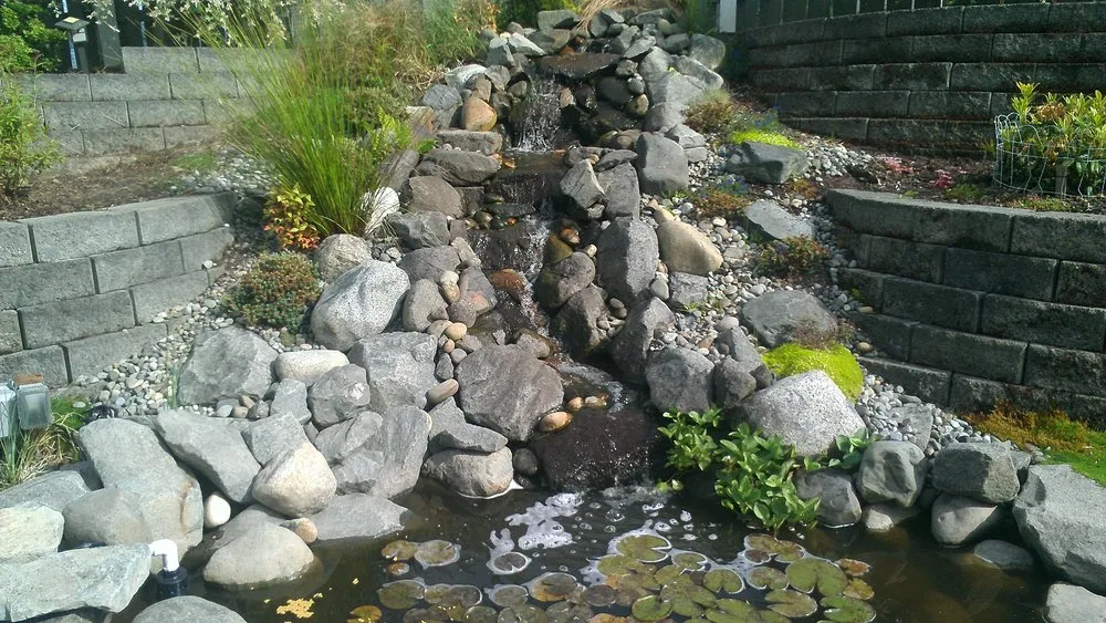 Trusted lawn care service in Port Orchard, WA by Levy's Lawn & Landscaping