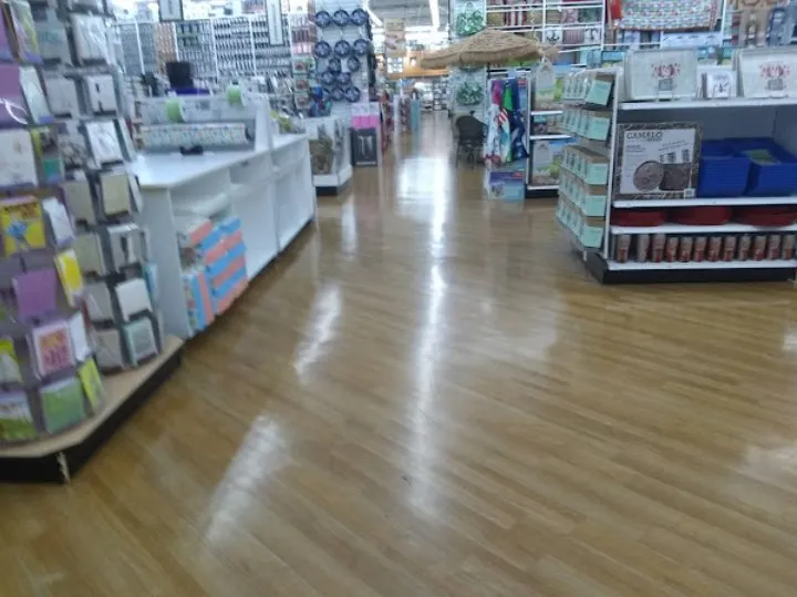 Top-rated yard cleanup service in Baton Rouge, LA - Levys On The Run