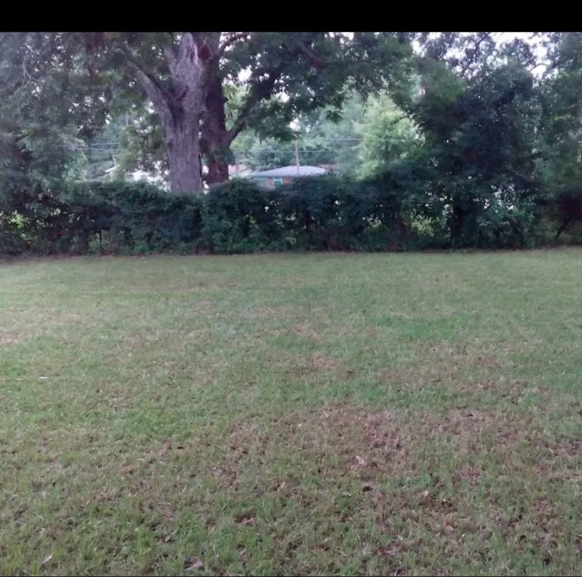 Reliable outdoor landscaping for beautiful yards across Baton Rouge, LA - Levys On The Run