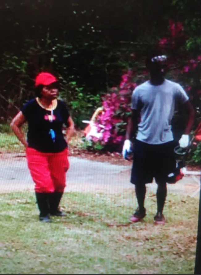 Professional residential landscaping experts serving Baton Rouge, LA - Levys On The Run