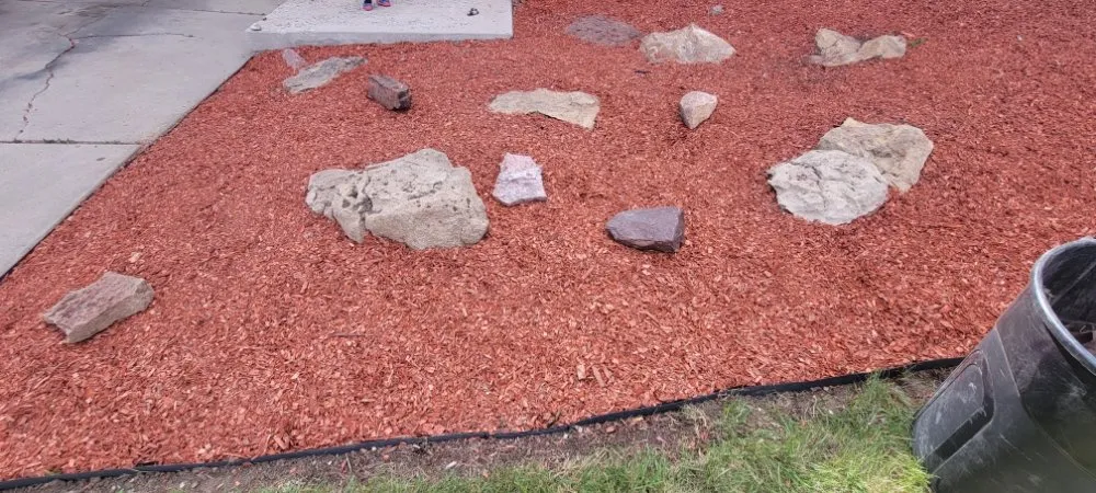 Expert yard cleanup service for year-round maintenance in Monument, CO by Lewallen's Outdoor Service