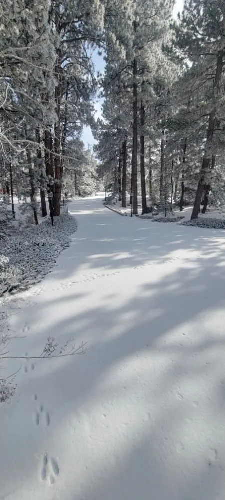 Trusted outdoor landscaping experts serving Monument, CO - Lewallen's Outdoor Service