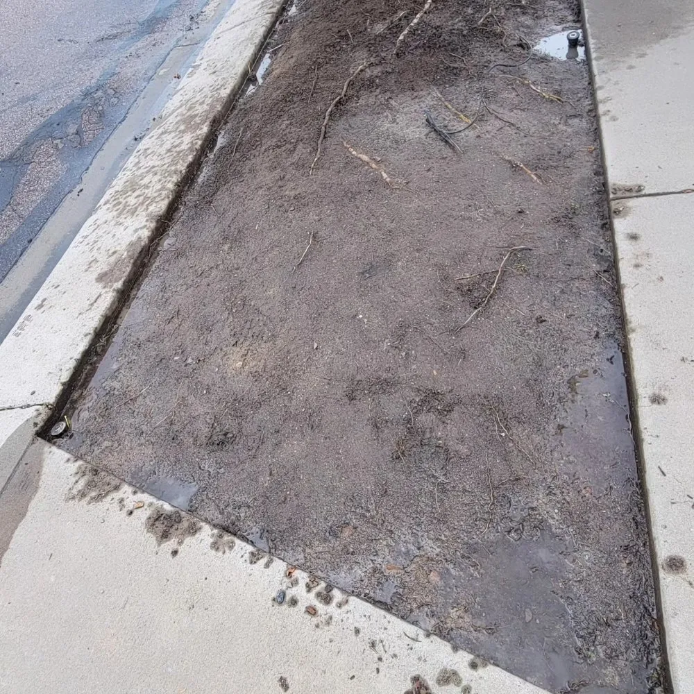 Professional outdoor landscaping in Monument, CO - Lewallen's Outdoor Service