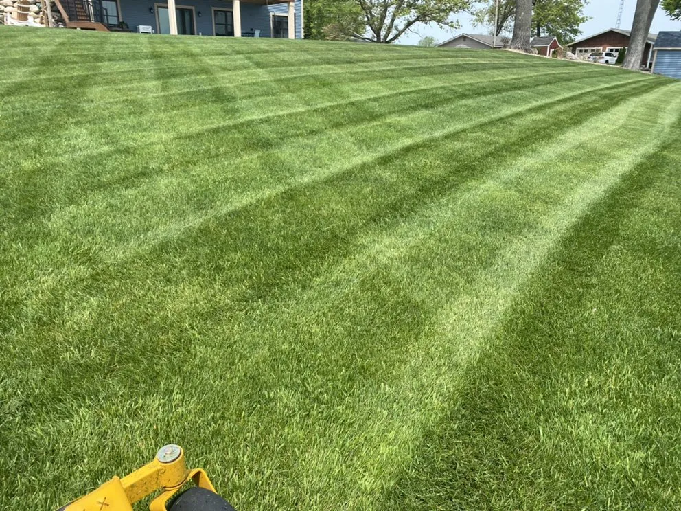 Custom yard cleanup service in Muskegon, MI by Lewandowski Home Services