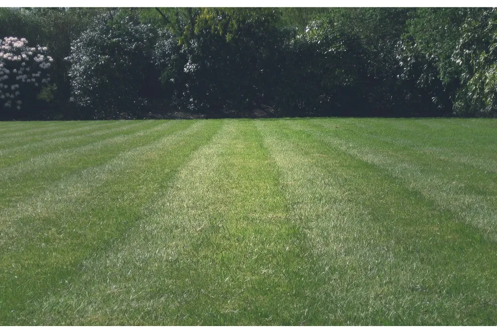 Professional garden landscaping for year-round maintenance across Muskegon, MI - Lewandowski Home Services