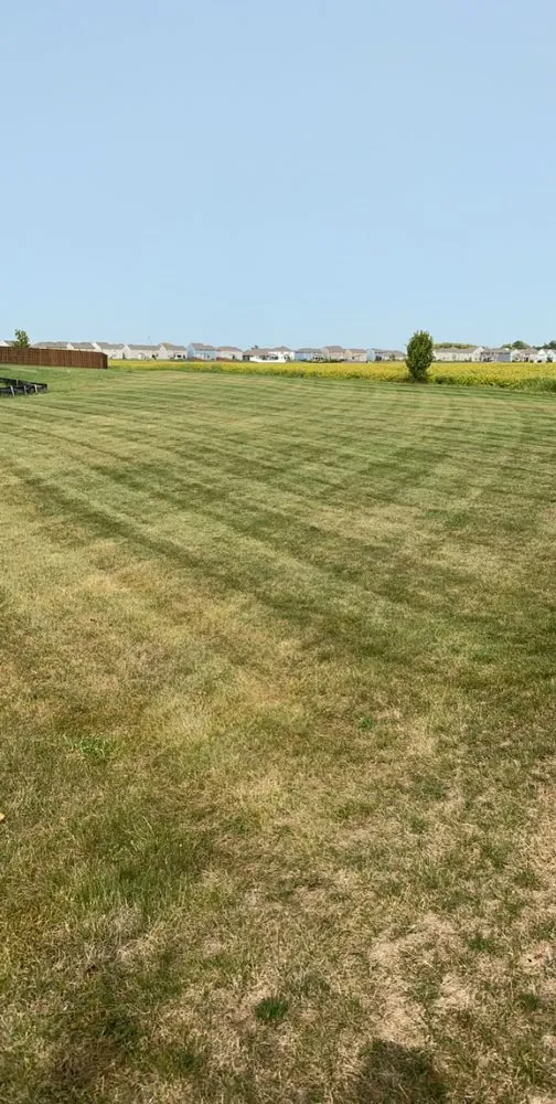 Custom yard maintenance in McCordsville, IN by LewBo Scapes