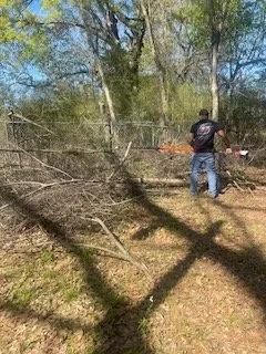 Top-rated lawn care service experts serving Byram, MS - Lewis & Son Landscaping And Construction